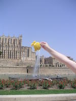 Mallorca Cathedral